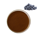 Hot selling 100% natural antioxidant blueberry extract powder bilberry extract